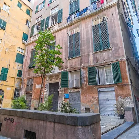 Grillo Cattaneo Genoa